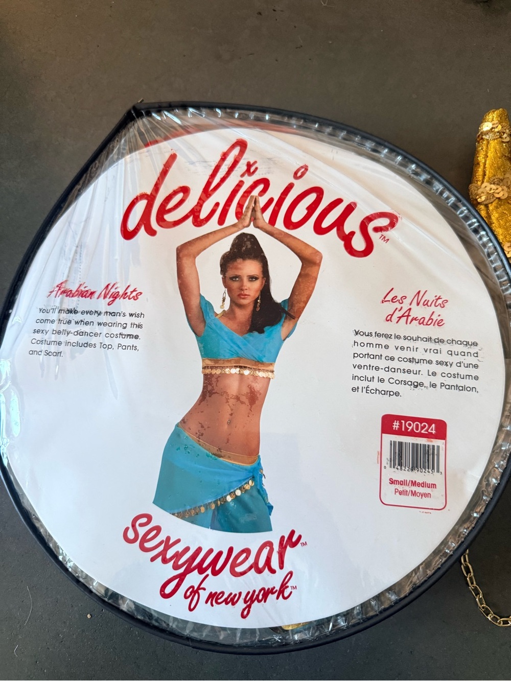 Arabian Nights Belly Dancer Costume - Turquoise